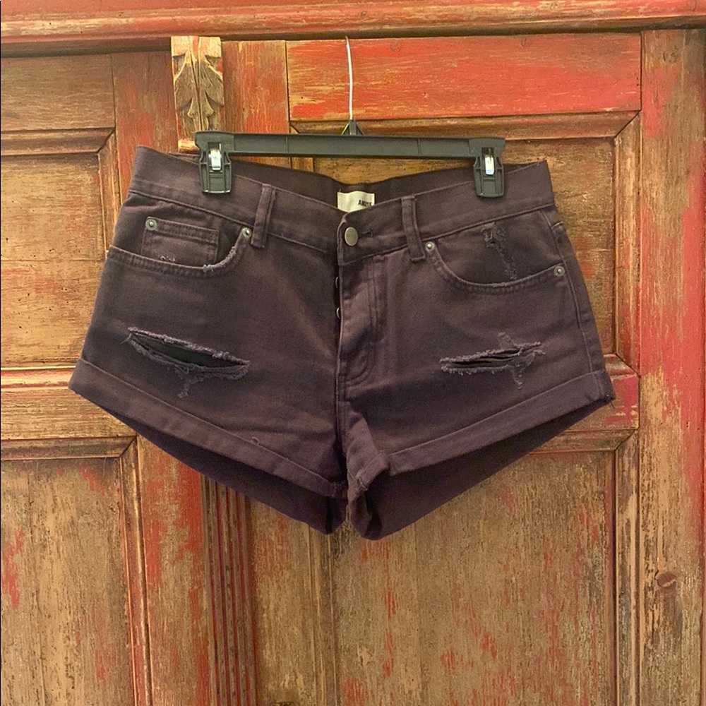 Amuse Society Denim Shorts